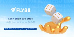 Cách chọn cửa cược xóc đĩa chuẩn xác từ các cao thủ Fly88