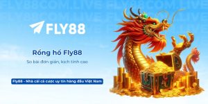 Rồng hổ Fly88 – So bài đơn giản, kịch tính cao